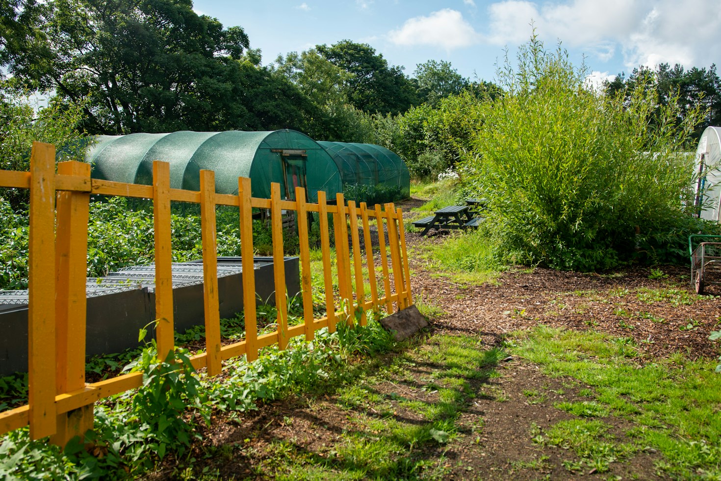 Greenhouses and garden beds beside a yellow fence