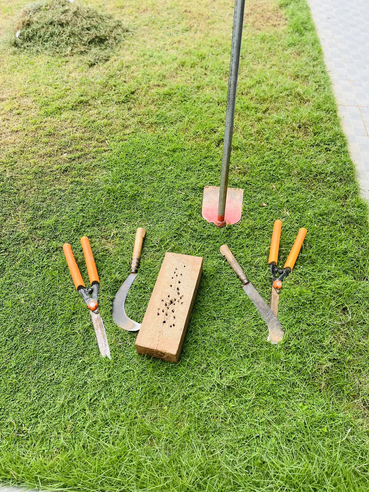 Gardening tools laid on grass beside cut vegetation