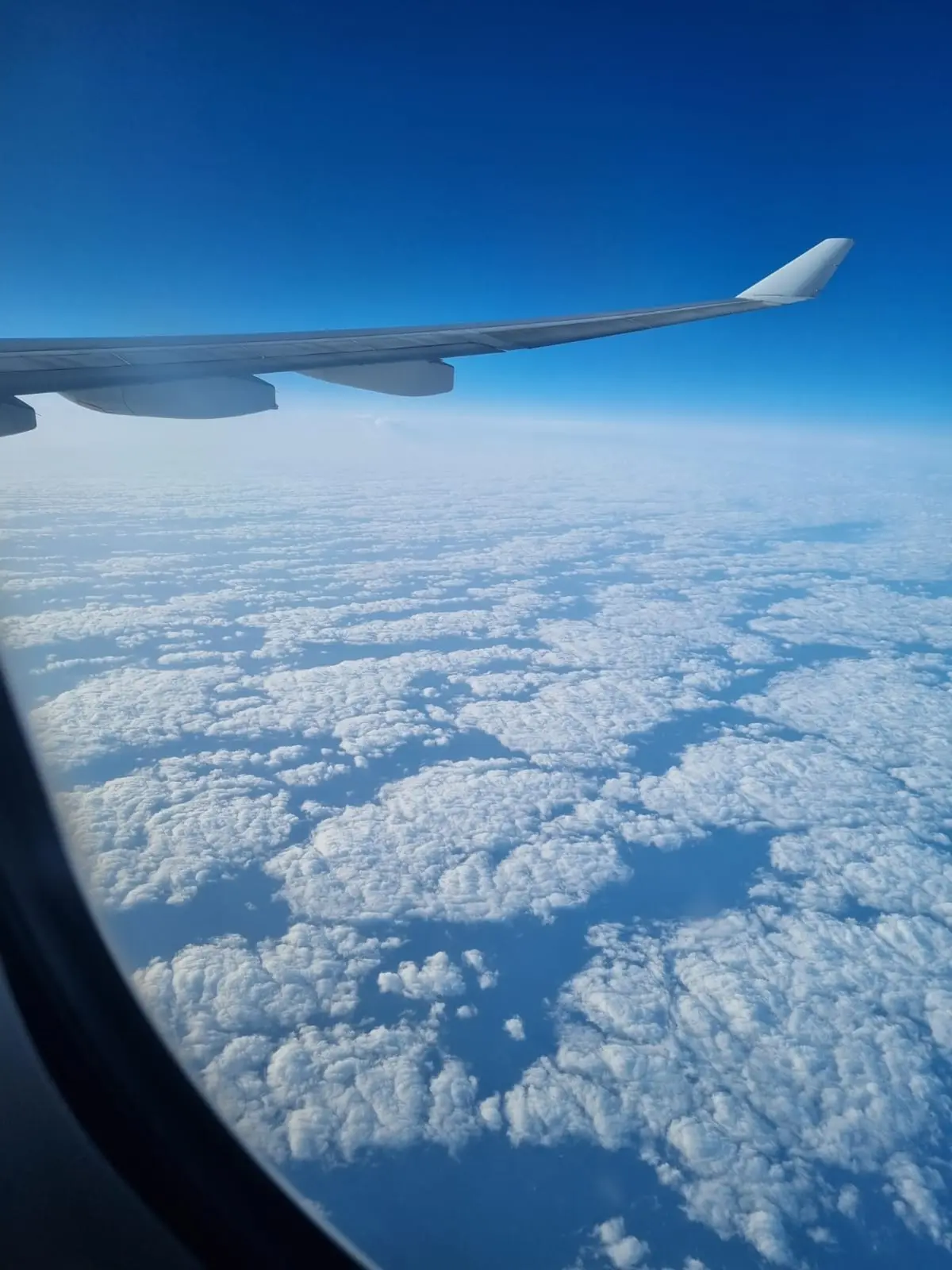 Aeroplane wing above a layer of white clouds