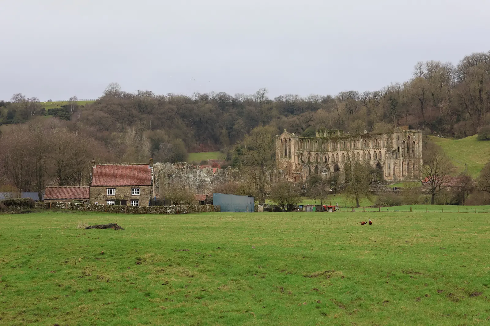 Rievaulx Abbey ruins beneath a grey sky