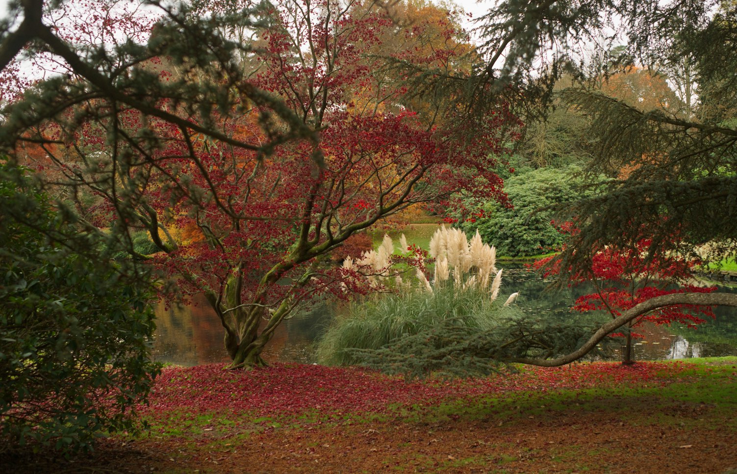 Water and autumn trees at Sheffield Park and Garden