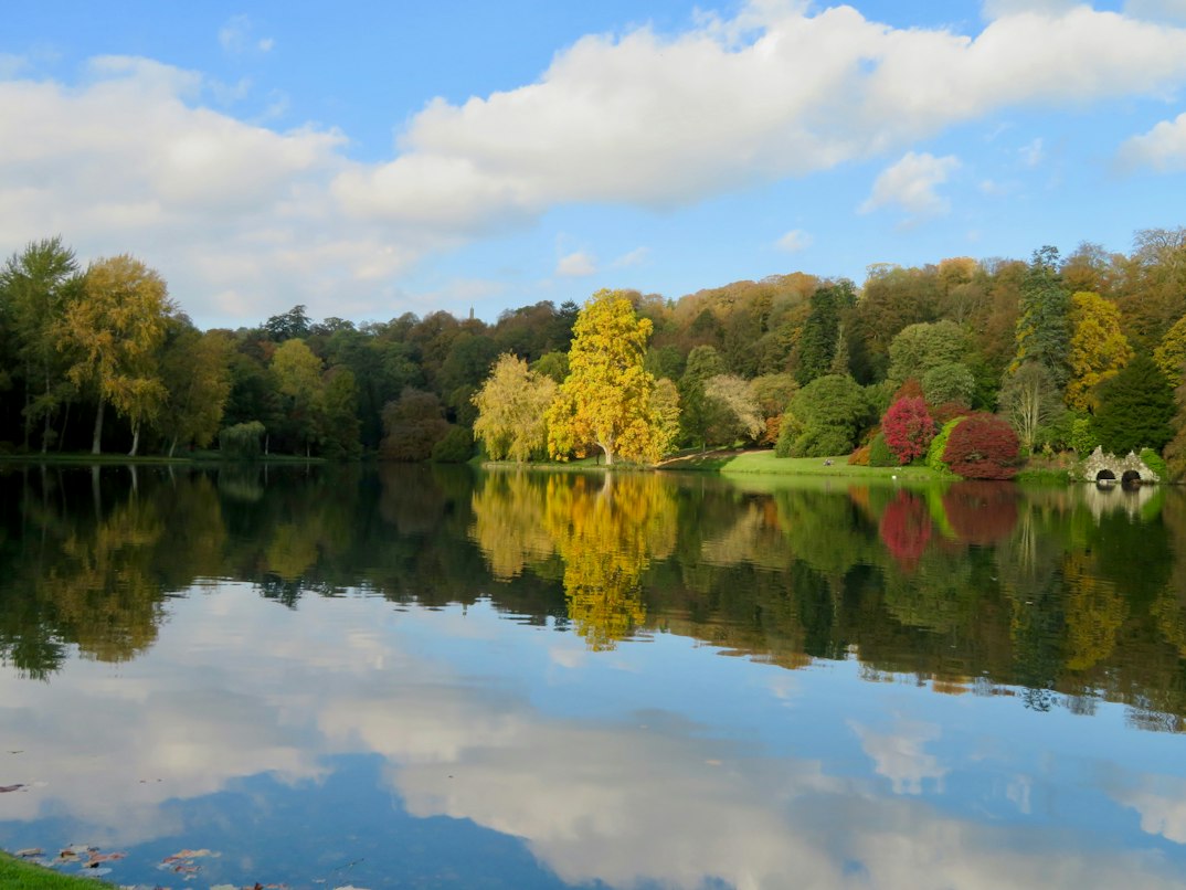 Trees and water in the landscape garden at Stourhead