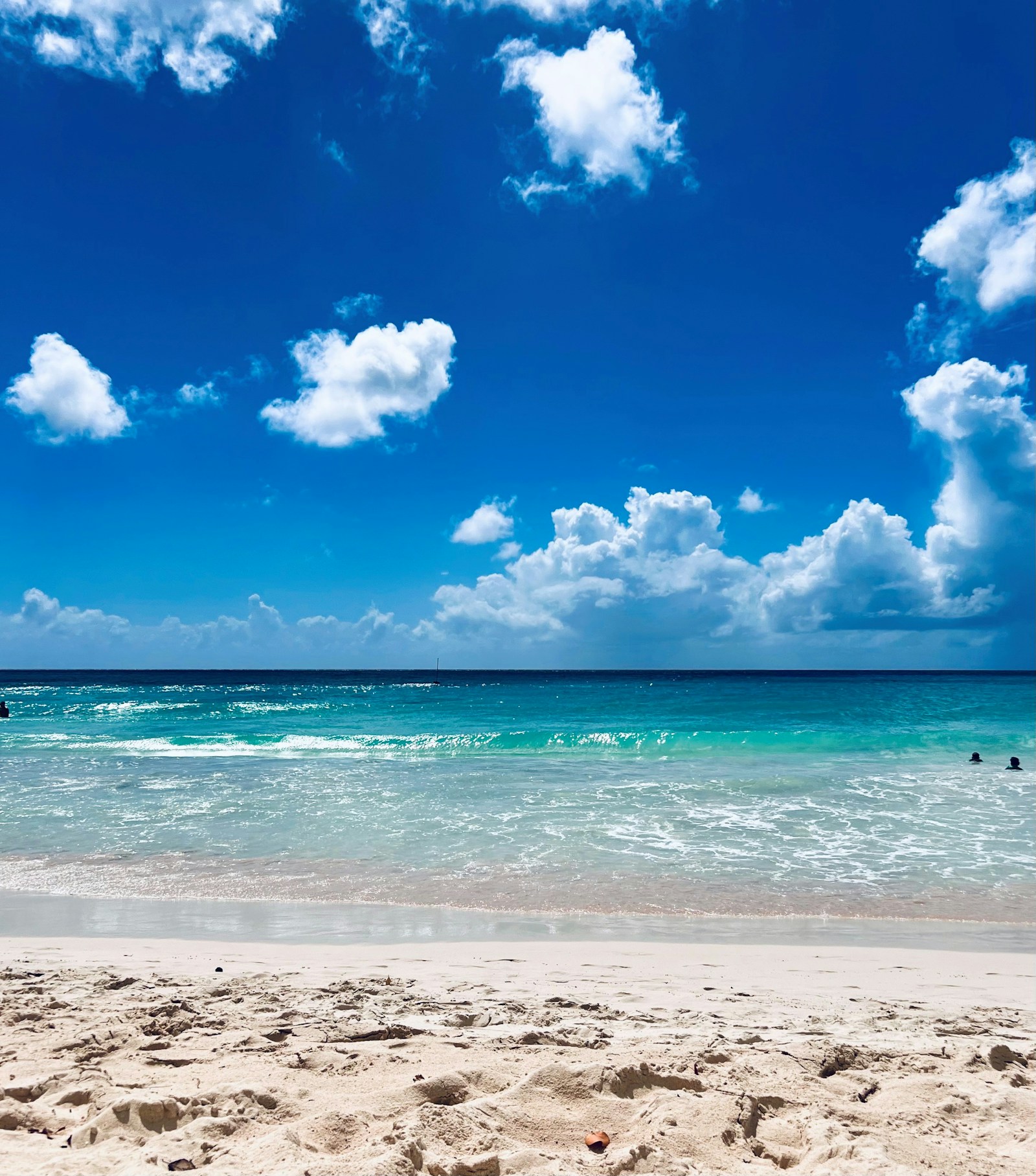 Sunny tropical beach with turquoise sea in Barbados